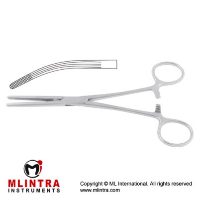 Rochester-Carmalt Haemostatic Forceps Curved Stainless Steel, 16.5 cm - 6 1/2"